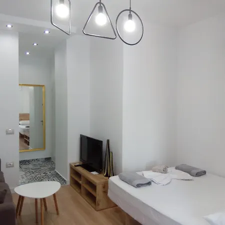 Luxury Apartment