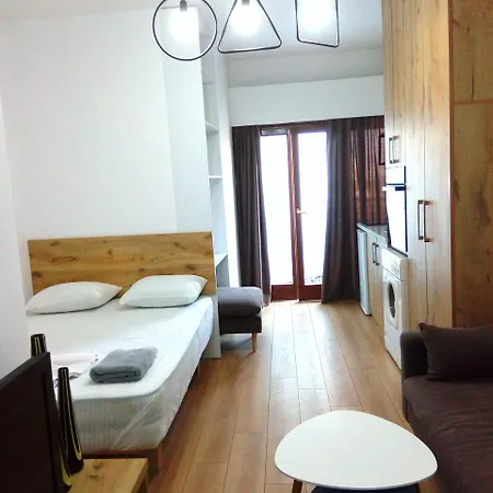 Luxury Apartment